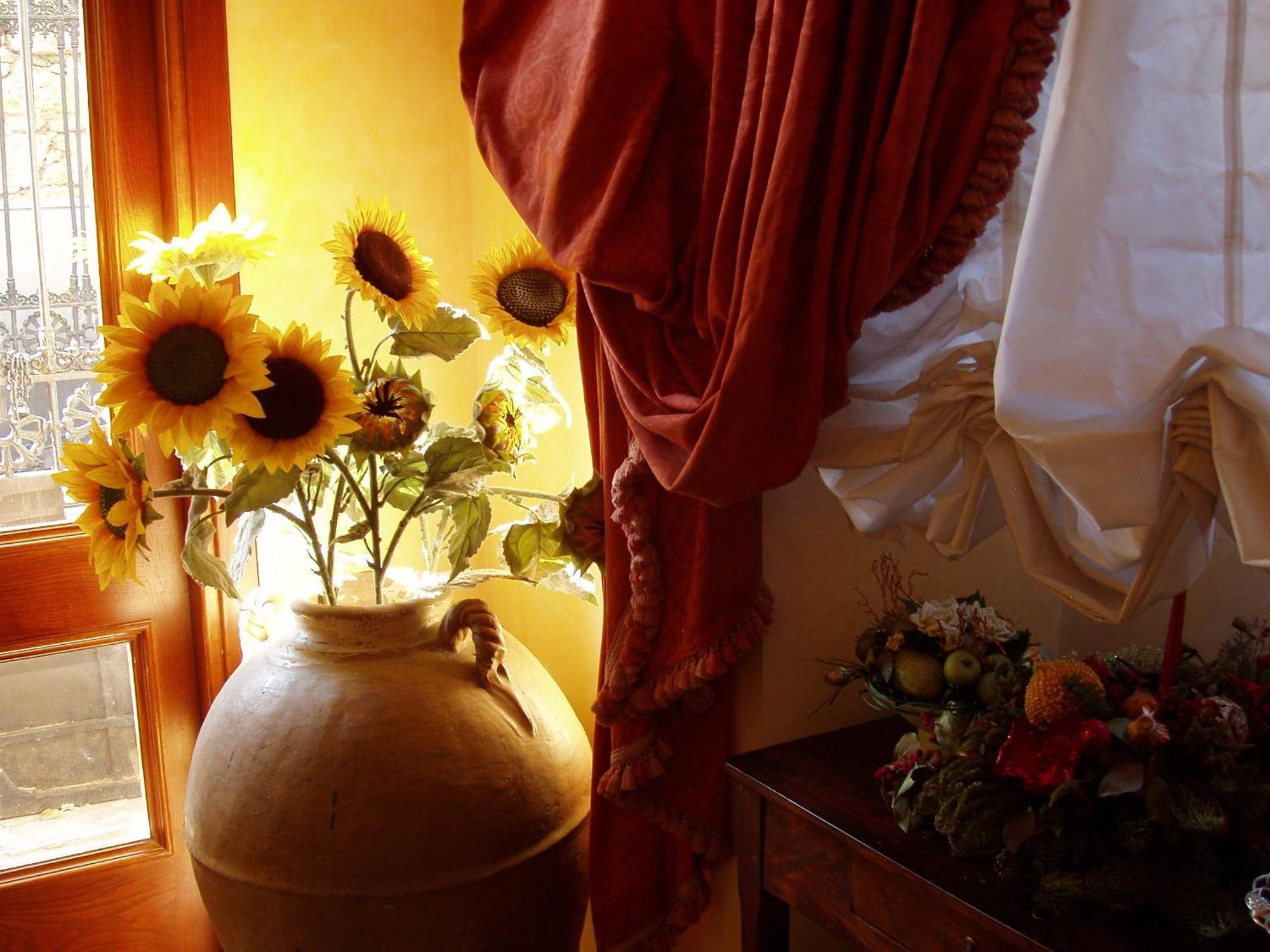 Hotel Il Cavalier D'Arpino Extérieur photo